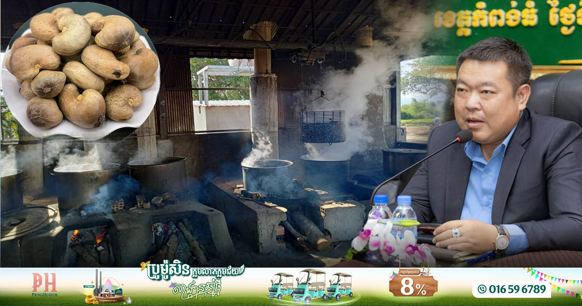 បច្ចុប្បន្ន៖ខេត្តកំពង់ធំ មានរោងចក្រ និងសិប្បកម្មកែច្នៃគ្រាប់ស្វាយចន្ទី សរុបចំនួន ១២ទីតាំង